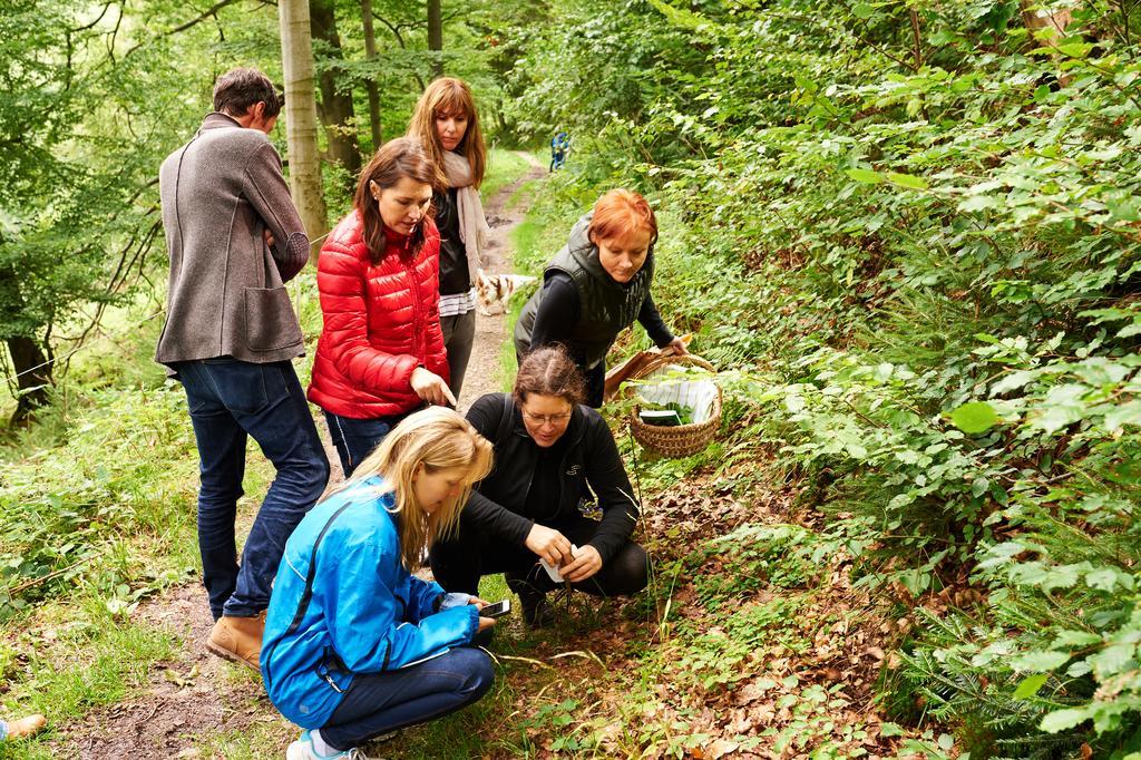 Naturkost-Hotel Harz Bad Grund Zewnętrze zdjęcie